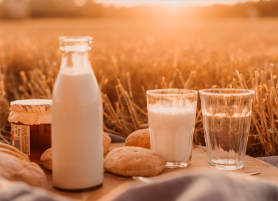 За 2023 год реализовано более 300 тысяч тонн молока